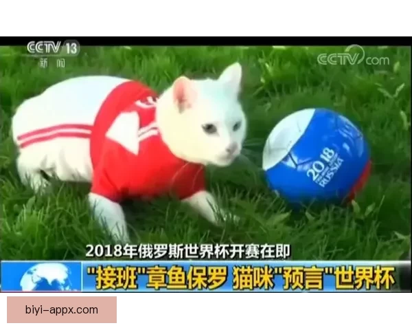 世界杯足球竞猜入口全新指南助你轻松掌握赛场胜负预测技巧